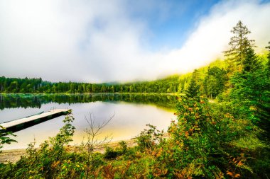 Styria 'daki Bad Mitterndorf' ta Oedensee 'deki manzara. Doğa, Avusturya 'daki Salzkammergut' ta berrak yüzme gölünde..