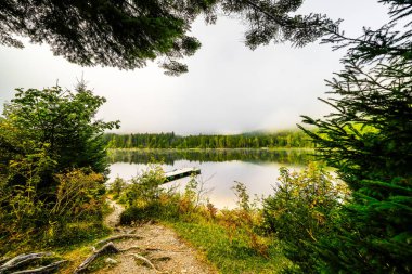 Styria 'daki Bad Mitterndorf' ta Oedensee 'deki manzara. Doğa, Avusturya 'daki Salzkammergut' ta berrak yüzme gölünde..