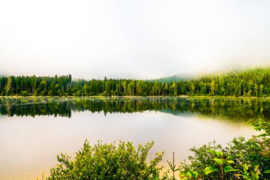 Styria 'daki Bad Mitterndorf' ta Oedensee 'deki manzara. Doğa, Avusturya 'daki Salzkammergut' ta berrak yüzme gölünde..