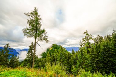 Tauplitzalm panoramik yolundaki manzara. Avusturya 'da Styria' da dağları olan doğa.