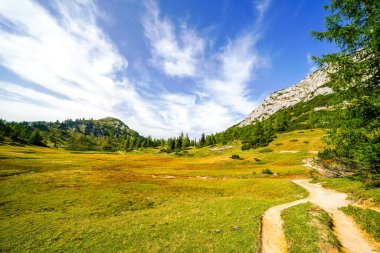 Doğa, Tauplitzalm 'ın yüksek platosunda. Styria 'daki Toten Gebirge manzarası. Avusturya 'daki Tauplitz' de dağlarla ve yeşil doğayla iç içe..