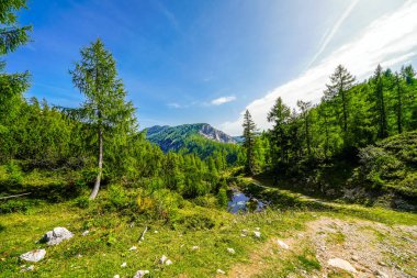 Doğa, Tauplitzalm 'ın yüksek platosunda. Styria 'daki Toten Gebirge manzarası. Avusturya 'daki Tauplitz' de dağlarla ve yeşil doğayla iç içe..