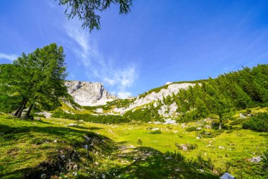 Doğa, Tauplitzalm 'ın yüksek platosunda. Styria 'daki Toten Gebirge manzarası. Avusturya 'daki Tauplitz' de dağlarla ve yeşil doğayla iç içe..