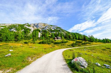 Doğa, Tauplitzalm 'ın yüksek platosunda. Styria 'daki Toten Gebirge manzarası. Avusturya 'daki Tauplitz' de dağlarla ve yeşil doğayla iç içe..