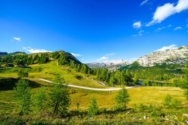 Doğa, Tauplitzalm 'ın yüksek platosunda. Styria 'daki Toten Gebirge manzarası. Avusturya 'daki Tauplitz' de dağlarla ve yeşil doğayla iç içe..