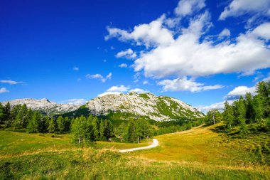 Doğa, Tauplitzalm 'ın yüksek platosunda. Styria 'daki Toten Gebirge manzarası. Avusturya 'daki Tauplitz' de dağlarla ve yeşil doğayla iç içe..