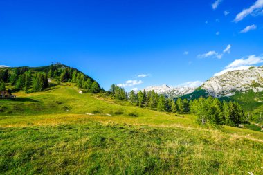 Doğa, Tauplitzalm 'ın yüksek platosunda. Styria 'daki Toten Gebirge manzarası. Avusturya 'daki Tauplitz' de dağlarla ve yeşil doğayla iç içe..