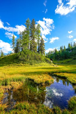 Doğa, Tauplitzalm 'ın yüksek platosunda. Styria 'daki Toten Gebirge manzarası. Avusturya 'daki Tauplitz' de dağlarla ve yeşil doğayla iç içe..