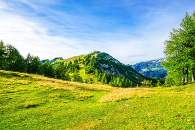 Doğa, Tauplitzalm 'ın yüksek platosunda. Styria 'daki Toten Gebirge manzarası. Avusturya 'daki Tauplitz' de dağlarla ve yeşil doğayla iç içe..