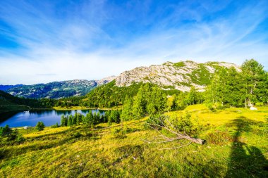 Doğa, Tauplitzalm 'ın yüksek platosunda. Styria 'daki Toten Gebirge manzarası. Avusturya 'daki Tauplitz' de dağlarla ve yeşil doğayla iç içe..