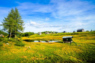 Tauplitzsee, Tauplitzalm 'ın yüksek platosunda. Styria 'daki Totes Gebirge Gölü manzarası. Avusturya 'da Tauplitz' de göl kenarındaki Idyllic manzarası.