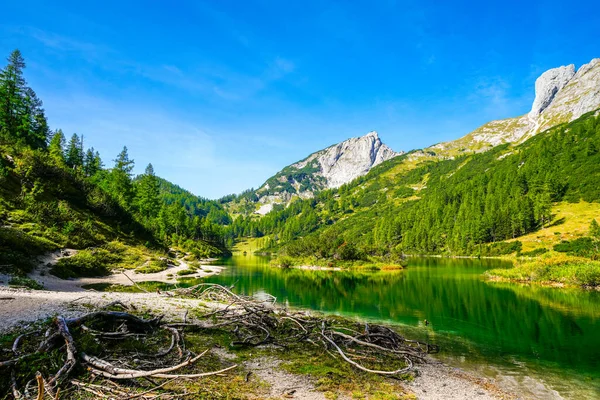 金银花高原上的Steirersee 在施蒂里亚的托特盖尔吉湖的湖景 奥地利陶普利茨山上有一座湖泊的伊甸园 — 图库照片