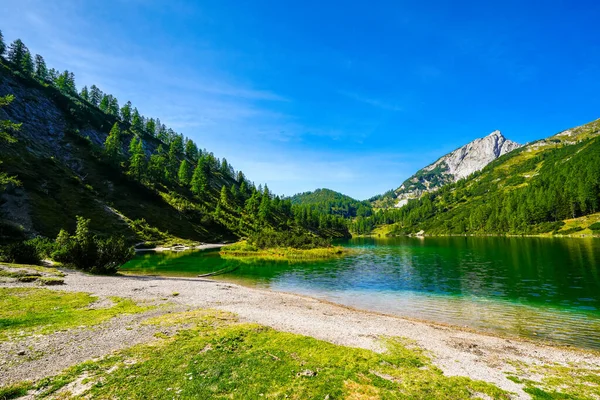 金银花高原上的Steirersee 在施蒂里亚的托特盖尔吉湖的湖景 奥地利陶普利茨山上有一座湖泊的伊甸园 — 图库照片