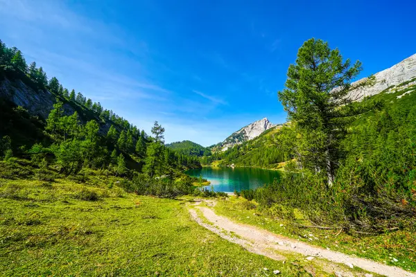 金银花高原上的Steirersee 位于施蒂里亚的托腾格比尔吉湖的景色 奥地利陶普利茨山上有一座湖泊的伊甸园 — 图库照片