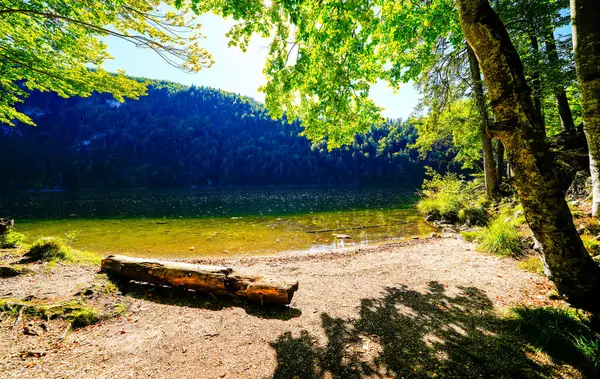 Widok Jezioro Toplitz Otaczający Krajobraz Idylliczna Przyroda Nad Jeziorem Styrii — Zdjęcie stockowe