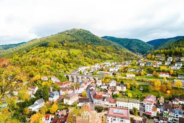 Hornberg kasabası ve Hornberg Kalesi 'nin çevresindeki doğa manzarası. Kara Orman 'da bir kasabanın manzarası.