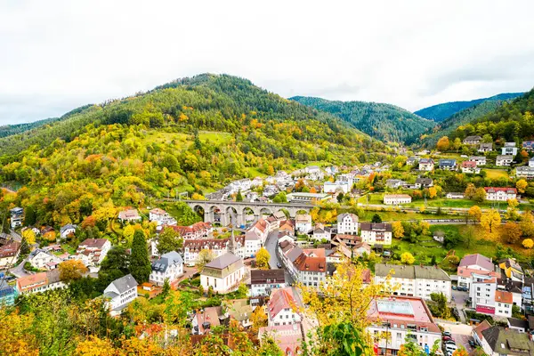 Hornberg kasabası ve Hornberg Kalesi 'nin çevresindeki doğa manzarası. Kara Orman 'da bir kasabanın manzarası.