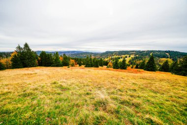 Feldberg, Kara Orman 'da sonbaharda manzara. Feldbergsteig yürüyüş parkuru. Baden-Wuerttemberg 'in Breisgau-Hochschwarzwald bölgesinde doğa.