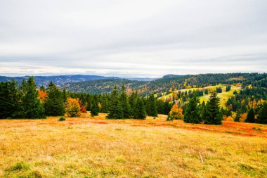 Feldberg, Kara Orman 'da sonbaharda manzara. Feldbergsteig yürüyüş parkuru. Baden-Wuerttemberg 'in Breisgau-Hochschwarzwald bölgesinde doğa.
