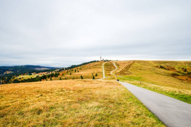 Feldberg, Kara Orman 'da sonbaharda manzara. Feldbergsteig yürüyüş parkuru. Baden-Wuerttemberg 'in Breisgau-Hochschwarzwald bölgesinde doğa.