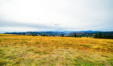 Feldberg, Kara Orman 'da sonbaharda manzara. Feldbergsteig yürüyüş parkuru. Baden-Wuerttemberg 'in Breisgau-Hochschwarzwald bölgesinde doğa.