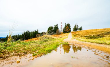 Feldberg, Kara Orman 'da sonbaharda manzara. Feldbergsteig yürüyüş parkuru. Baden-Wuerttemberg 'in Breisgau-Hochschwarzwald bölgesinde doğa.