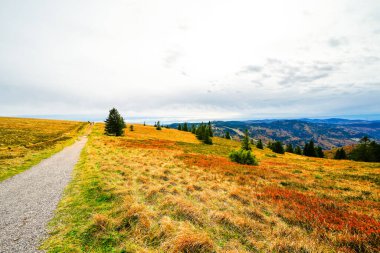 Feldberg, Kara Orman 'da sonbaharda manzara. Feldbergsteig yürüyüş parkuru. Baden-Wuerttemberg 'in Breisgau-Hochschwarzwald bölgesinde doğa.