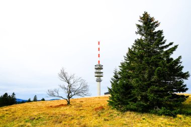 Feldberg, Kara Orman 'da sonbaharda manzara. Feldbergsteig yürüyüş parkuru. Baden-Wuerttemberg 'in Breisgau-Hochschwarzwald bölgesinde doğa.