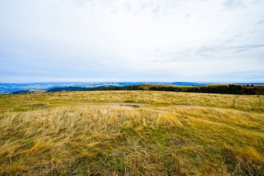 Feldberg, Kara Orman 'da sonbaharda manzara. Feldbergsteig yürüyüş parkuru. Baden-Wuerttemberg 'in Breisgau-Hochschwarzwald bölgesinde doğa.