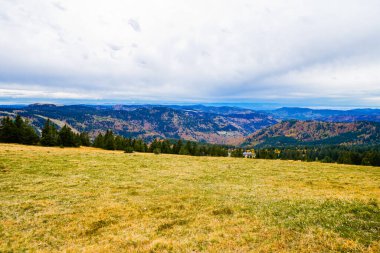 Feldberg, Kara Orman 'da sonbaharda manzara. Feldbergsteig yürüyüş parkuru. Baden-Wuerttemberg 'in Breisgau-Hochschwarzwald bölgesinde doğa.