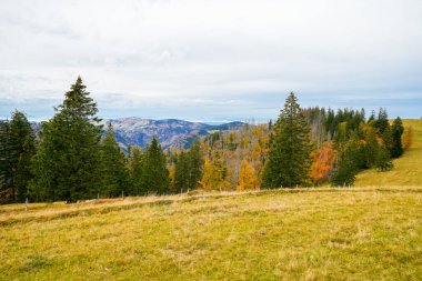 Feldberg, Kara Orman 'da sonbaharda manzara. Feldbergsteig yürüyüş parkuru. Baden-Wuerttemberg 'in Breisgau-Hochschwarzwald bölgesinde doğa.