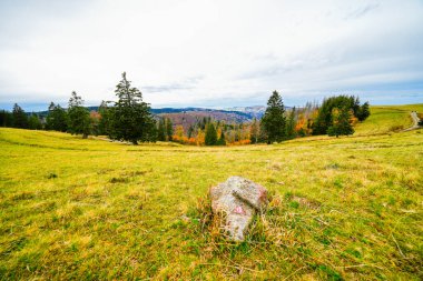 Feldberg, Kara Orman 'da sonbaharda manzara. Feldbergsteig yürüyüş parkuru. Baden-Wuerttemberg 'in Breisgau-Hochschwarzwald bölgesinde doğa.