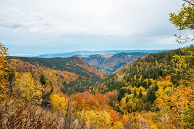 Feldberg, Kara Orman 'da sonbaharda manzara. Feldbergsteig yürüyüş parkuru. Baden-Wuerttemberg 'in Breisgau-Hochschwarzwald bölgesinde doğa.