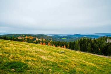 Feldberg, Kara Orman 'da sonbaharda manzara. Feldbergsteig yürüyüş parkuru. Baden-Wuerttemberg 'in Breisgau-Hochschwarzwald bölgesinde doğa.