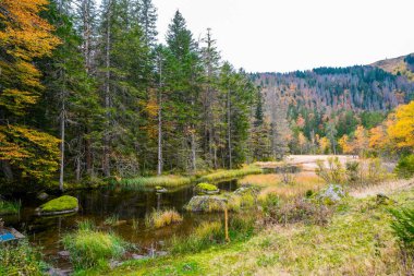 Feldberg, Kara Orman 'da sonbaharda manzara. Feldbergsteig yürüyüş parkuru. Baden-Wuerttemberg 'in Breisgau-Hochschwarzwald bölgesinde doğa.