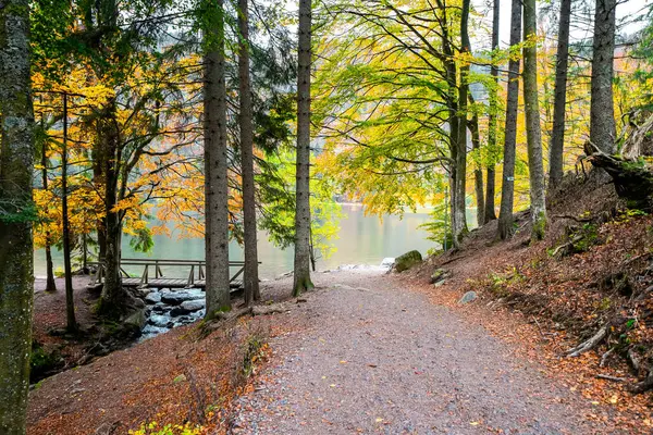 秋天的风景 在费尔德堡的黑森林 Feldbergsteig徒步小径Baden Wuerttemberg Breisgau Hochschwarzwald区Feldsee的自然 — 图库照片