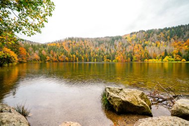 Feldberg, Kara Orman 'da sonbaharda manzara. Feldbergsteig yürüyüş parkuru. Baden-Wuerttemberg 'deki Breisgau-Hochschwarzwald bölgesinde Feldsee' de Doğa.
