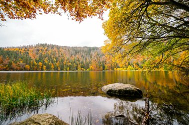 Feldberg, Kara Orman 'da sonbaharda manzara. Feldbergsteig yürüyüş parkuru. Baden-Wuerttemberg 'deki Breisgau-Hochschwarzwald bölgesinde Feldsee' de Doğa.