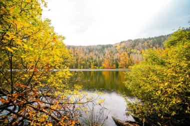 Feldberg, Kara Orman 'da sonbaharda manzara. Feldbergsteig yürüyüş parkuru. Baden-Wuerttemberg 'deki Breisgau-Hochschwarzwald bölgesinde Feldsee' de Doğa.