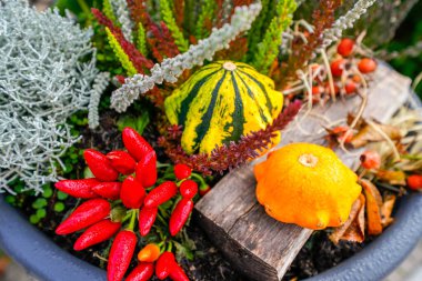 Ön bahçede sonbahar süslemeleri.