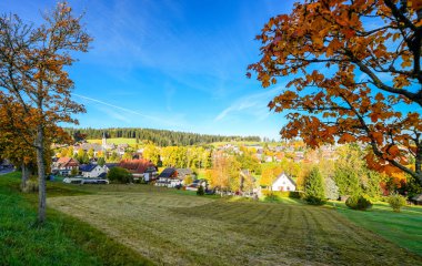 Kara Orman 'daki Schoenwald yakınlarındaki manzara. Doğa sabah çayırlarda ve tepelerde.