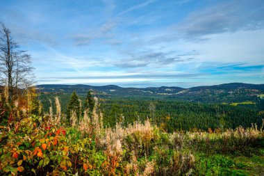 Kara Orman 'da sonbahar manzarası. Ormanları ve tepeleri olan doğa.