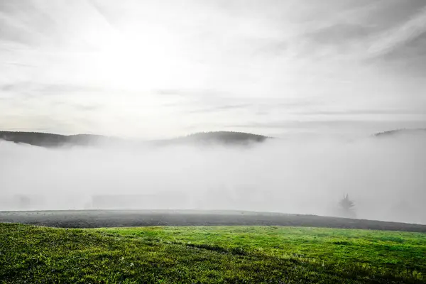 Krajobraz Mgłą Czarnym Lesie Natura Rano Łąkami Wzgórzami — Zdjęcie stockowe