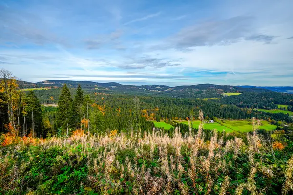 秋天的风景在黑森林 森林和山丘构成的自然 — 图库照片