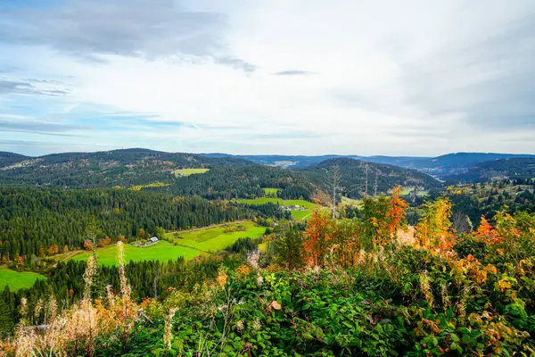 秋天的风景在黑森林 森林和山丘构成的自然 — 图库照片