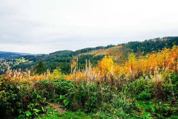 Jesienny Krajobraz Czarnym Lesie Natura Lasami Wzgórzami — Zdjęcie stockowe