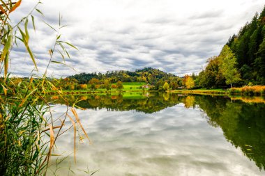 Poplar forest lake near Berghaupten in the Black Forest. Idyllic autumn landscape by the lake. Pappelwaldsee. clipart
