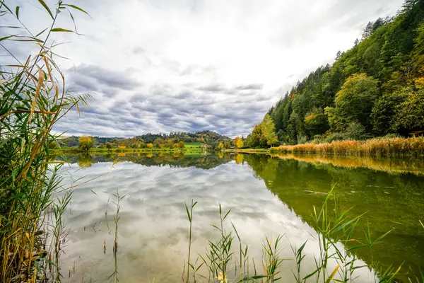 Kara Orman 'da Berghaupten yakınlarında kavak ormanı gölü. Göl kenarındaki Idyllic sonbahar manzarası. Pappelwaldsee.