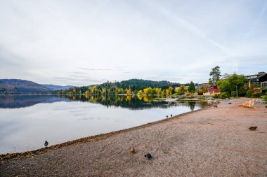 Kara Orman 'daki Titisee-Neustadt yakınlarındaki Titisee manzarası ve çevresindeki doğa. Sonbaharda göl manzarası.