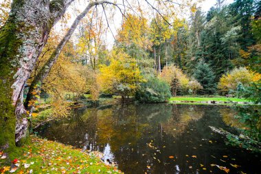 Landscape at the forest lake near Haslach in the Kinzigtal. Nature in autumn by the lake. clipart